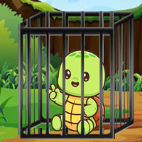 Free online flash games - Little Turtle Escape