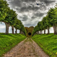 Wowescape Easter Egg Fantasy Rescue