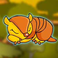 G2J Rescue Armadillo from Cage