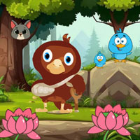 Free online flash games - BIG Help Injured Bird Fallen Down