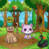 Free online flash games - Wow Assist Couple Of Wild Cats