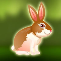 Free online flash games - Free the Gray Rabbit