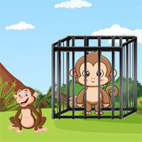 Free online flash games - G2M Jungle Monkey Rescue