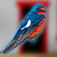 G2J Hirundinidae Bird Escape