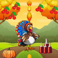 Free online flash games - BIG Turkey Pursuing Missed Girlfriend
