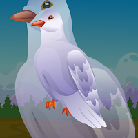 Free online flash games - G2J Wild Pigeon Escape