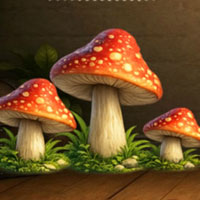 Free online flash games - Find Garden Snail Milo