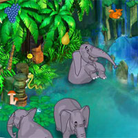 My Jungle