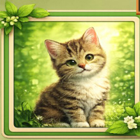 Free online flash games - Discover the Green Fresh Leaves