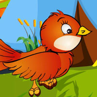 G2J Rescue the Small Bird from Cage
