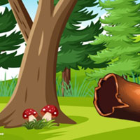 Free online flash games - G2M Clever Rat Quest