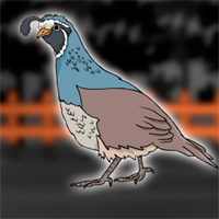 Free online flash games - G2J Save the Quail from Cage
