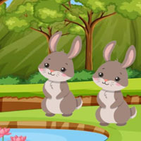 Free online flash games - G2M Rabbit Rescue Escape