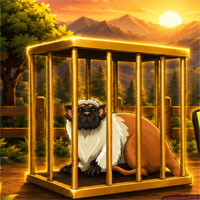 Free online flash games - Break the Pied Tamarins Cage
