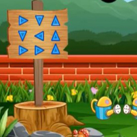The Green Parrot Escape