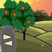 G2L Peace Land Escape