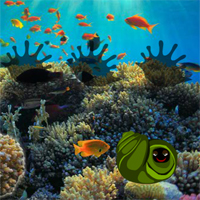 WowEscape Save The Shark