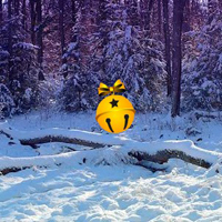 Escape from Snow Christmas Forest