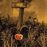 G2R Halloween Ghost Bird Escape