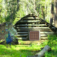 Peaceful Meadow Escape