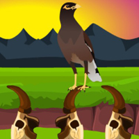 G2M Myna Land Escape