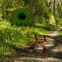 Typical Forest Escape Wowescape