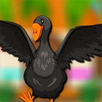 Avm Happy Duck Escape