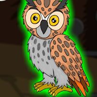 G2J Rescue the Long Eared Owl