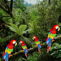 Werewolf into the Man Escape