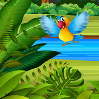 Birds Board Puzzles LofGames