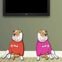 Free online flash games - 8b Find Sweet Pet Dog Dynamo