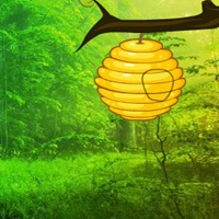 Enchanting Forest Trees Escape