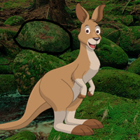 Big Kangaroo Land Escape