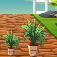 Free online flash games - Flower Girl Rescue