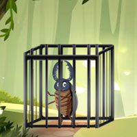 Free online flash games - G2M Beetle Rescue Escape