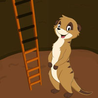 Help The Meerkat HTML5