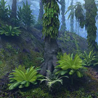 Escape From Soothing Forest HTML5