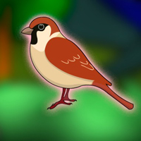 Free online flash games - G2J Rescue the Sparrow from the Cage