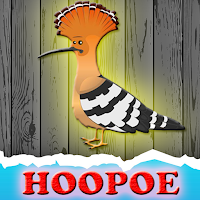 Free online flash games - G2J The Hoopoe Rescue From Cage