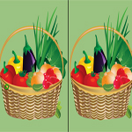 Basket Difference World