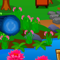 AVM River Village Escape