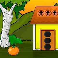Free online flash games - Set the Blue Wrens Free