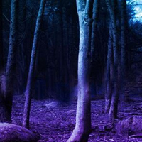 Dark Mysterious Jungle Escape