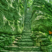 Games2rule Trekking Rock Forest Escape