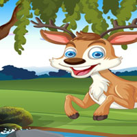 Free online flash games - G2M Drenched Squirrel Rescue