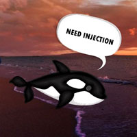 Help The Sick Whale HTML5