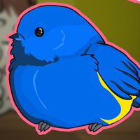 Free online flash games - G2J Northern Parula Escape