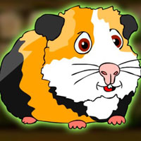 Free online flash games - G2J Release the Cavia Porcellus from Cage