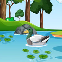 Free online flash games - G2M White Duck Pair Rescue