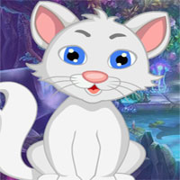 G4k White Cat Rescue